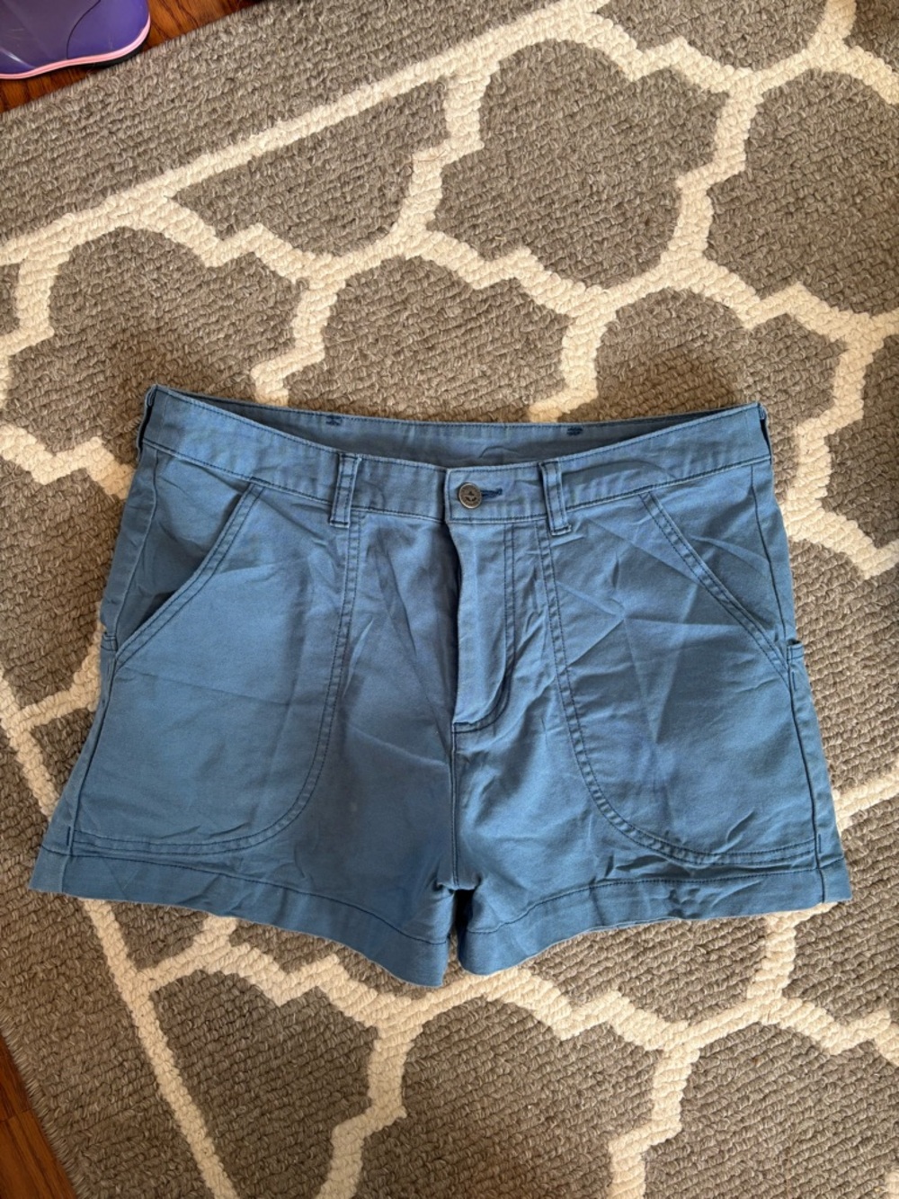 Patagonia Organic Cotton Shorts size 8
